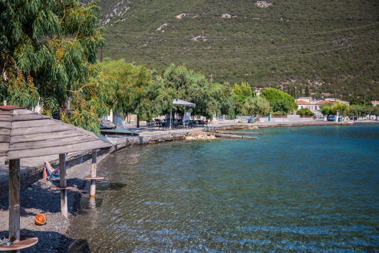 Amaryllis Holiday Home Agios Spyridon  Zewnętrze zdjęcie